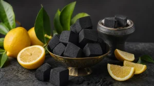 راهنمای انتخاب ذغال لیمویی برای مصرف‌کنندگان